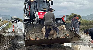 Muğla'da tüm kurumlar yağmur teyakkuzunda