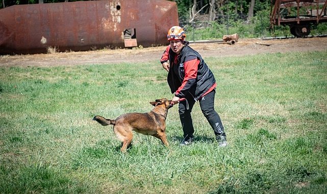 Muğla'nın arama kurtarma köpekleri Tayga ve Foxy görev yeterlilik sınavını geçti