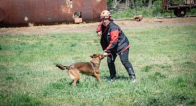 Muğla'nın arama kurtarma köpekleri Tayga ve Foxy görev yeterlilik sınavını geçti