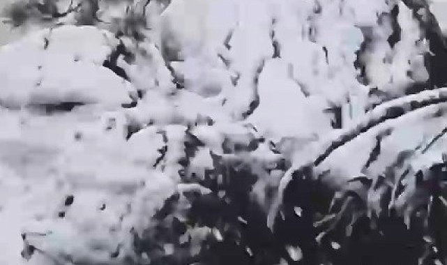 Muğla'ya sezonun ilk karı yağdı