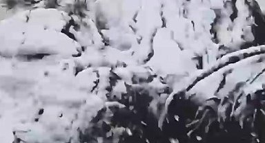 Muğla'ya sezonun ilk karı yağdı