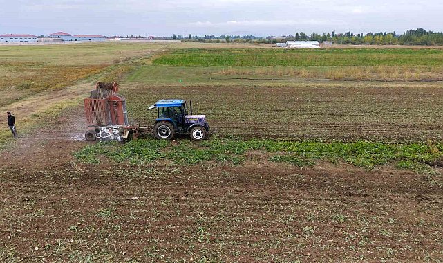Muş ekonomisine pancardan 2 buçuk milyar TL'lik katkı