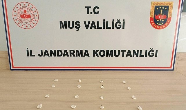 Muş'ta jandarmadan uyuşturucu operasyonları: 19 olaya müdahale edildi