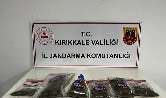 Narkotik köpeği "Evin" uyuşturucuyu tespit etti: Bahçede kenevir ve esrar ele geçirildi