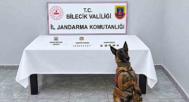 Narkotik köpeği uyuşturucuyu kokusundan buldu