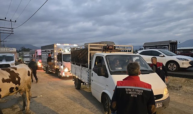 Nazilli Hayvan Pazarı açıldı, denetimler sıkılaştırıldı