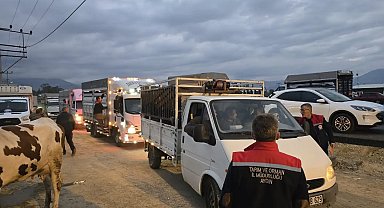 Nazilli Hayvan Pazarı açıldı, denetimler sıkılaştırıldı