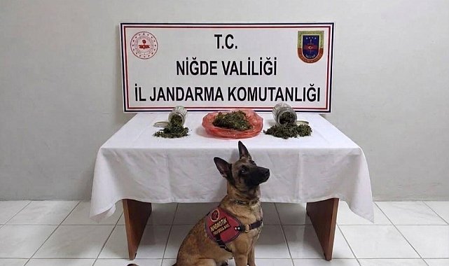 Niğde'de bir haftada 51 aranan şahıs yakalandı