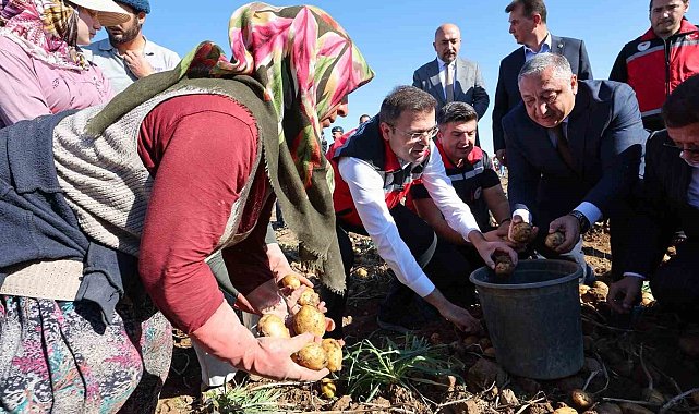Niğde'de yerli patates çeşitlerinin hasadı yapıldı