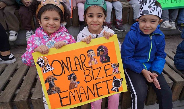 Öğrenciler barınak ziyareti yaparak hayvanları sevdi ve mama verdi