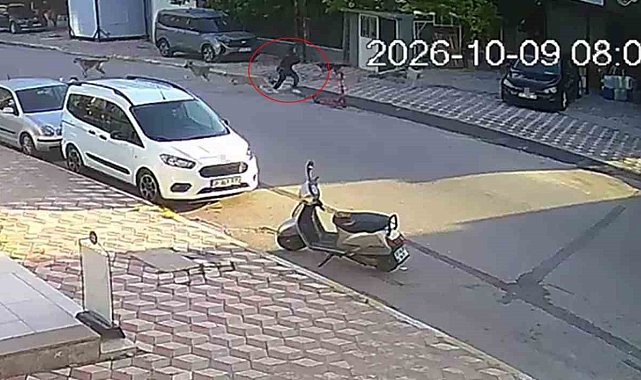 Okul yolunda sokak köpeklerinin saldırısına uğrayan kız çocuğu yaralandı