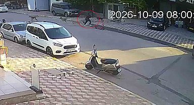 Okul yolunda sokak köpeklerinin saldırısına uğrayan kız çocuğu yaralandı