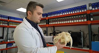 OMÜ'de hayvanların anatomik yapıları üç boyutlu yazıcıyla üretiliyor, eğitimde kullanılıyor