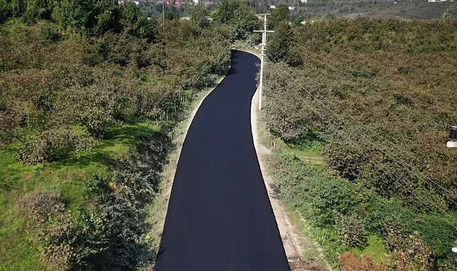 Ordu İkizce Düzpelit Mahallesi asfalta kavuşuyor