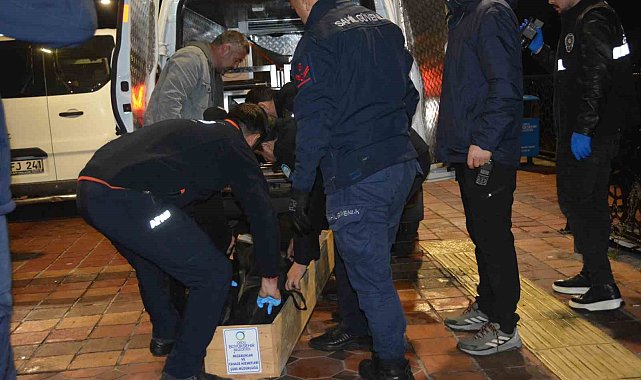Ordu'da denize atlayan genç hayatını kaybetti