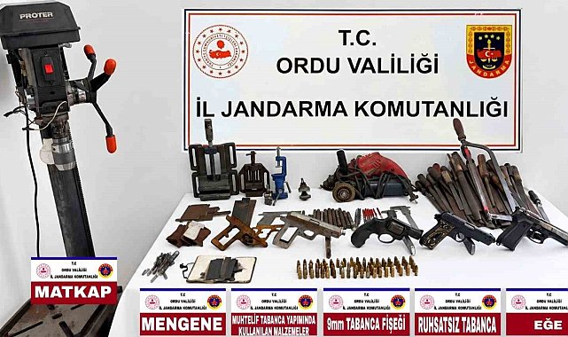 Ordu'da jandarmadan silah operasyonu: 2 tutuklama