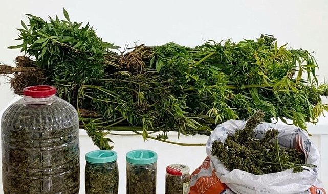 Ordu'da uyuşturucu operasyonunda 1 tutuklama