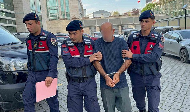 Orman envanterlerini çalarken suçüstü yakalandı