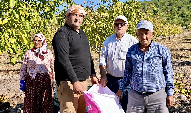 Orman köylüsüne gelir kapısı olan ağaçlar meyve verdi