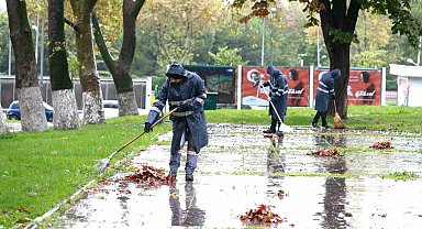 Osmangazi Belediyesi'nden sonbahar temizliği