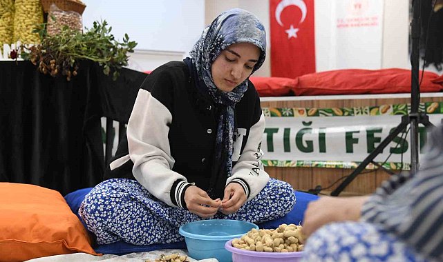Osmaniye'de üniversiteli kızlar fıstık kırma yarışmasında kıyasıya mücadele etti