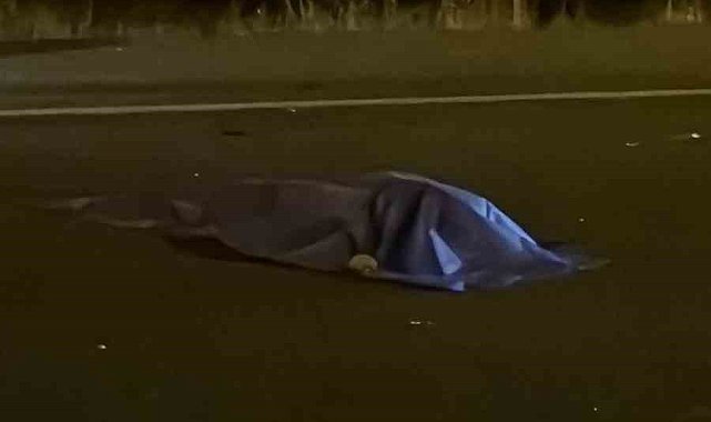 Otomobilin çarptığı yaya hayatını kaybetti