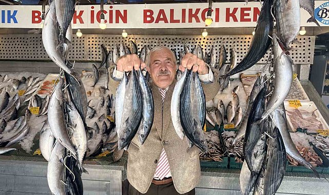 Palamutta bereket, kilosu 100 TLl'ye düştü