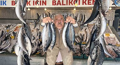 Palamutta bereket, kilosu 100 TLl'ye düştü