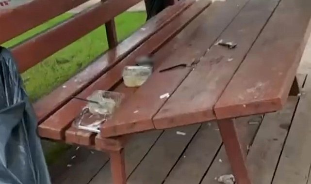 Parka zarar veren vandallara, vatandaş böyle tepki gösterdi