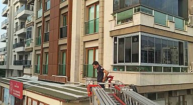 Payas'ta balkon boşluğunda mahsur kalan güvercin kurtarıldı
