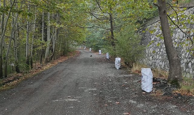 Pozantı'da 2 emekli arkadaş, 3 günde 20 çuval çöp topladı