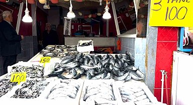 Rize'de palamutun 3 tanesi 100 TL'den satılıyor