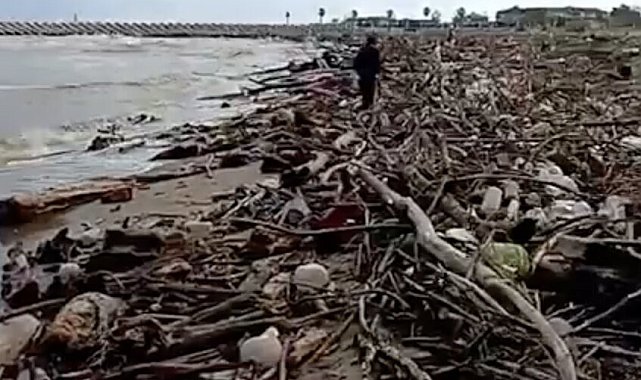 Sağanak sonrası Sakarya Nehri'nden sürüklenen dal ve çalılar sahile vurdu