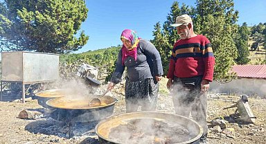 Sahilden yaylaya uzanan doğal yaşam ve Toroslar'da harnup pekmezi mesaisi