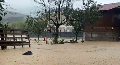 Sakarya'da sel bir mahalleyi sulara gömdü: 60 bin kanatlı hayvan telef oldu