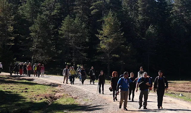 Sakarya'da sonbahar doğa yürüyüşleri devam ediyor