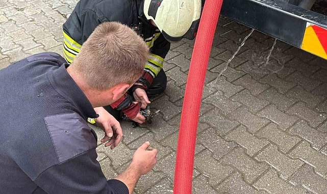 Samsun'da korkutan ev yangını: Kedi yavrusu son anda kurtarıldı