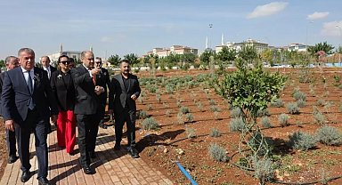 Şanlıurfa ile Pitești arasında dostluk fidanları toprakla buluştu
