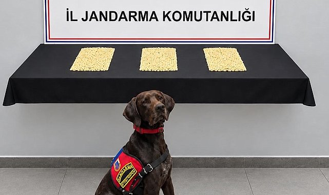 Şanlıurfa'da 2 bin 970 Captagon hap ele geçirildi