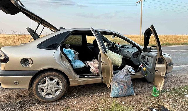 Şanlıurfa'da 4 fıstık hırsızı suçüstü yakalandı