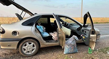 Şanlıurfa'da 4 fıstık hırsızı suçüstü yakalandı
