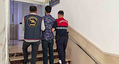 Şanlıurfa'da 5 yıl kesinleşmiş hapis cezası bulunan hükümlü yakalandı