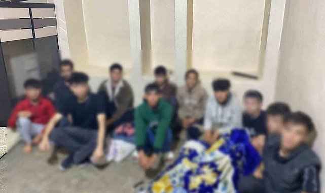 Şanlıurfa'da 61 düzensiz göçmen yakalandı