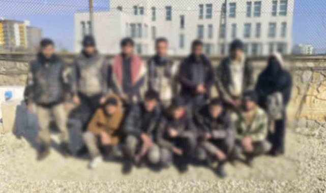 Şanlıurfa'da 68 kaçak göçmen yakalandı