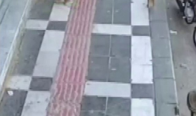 Şanlıurfa'da iki kız kardeşinin çantasını sırtlayan ağabey kamerada