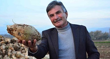 Şeker pancarı üreticisinin sözleri sosyal medyada gündem oldu: "'Ben kazanmıyorum' diyen çiftçiler külliyen yalan söylüyor"