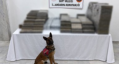Siirt'te kömür çuvallarının arasına gizlenmiş 10 bin 250 paket kaçak sigara ele geçirildi