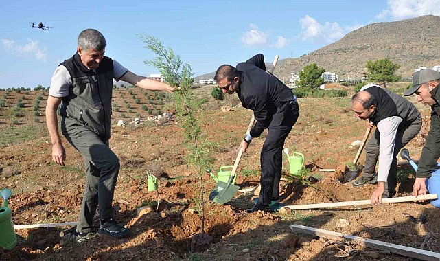 Silifke'de Şehit Savcı Mehmet Selim Kiraz Hatıra Ormanı yeniden yeşilleniyor