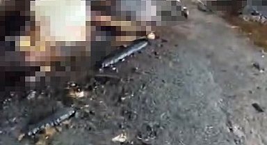 Silivri'de ahır yangını faciayla sonuçlandı: 24 büyükbaş hayvan telef oldu