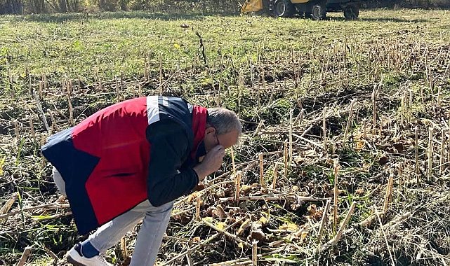 Simav'da ayçiçeği tarlalarında hasat kontrolleri yapıldı